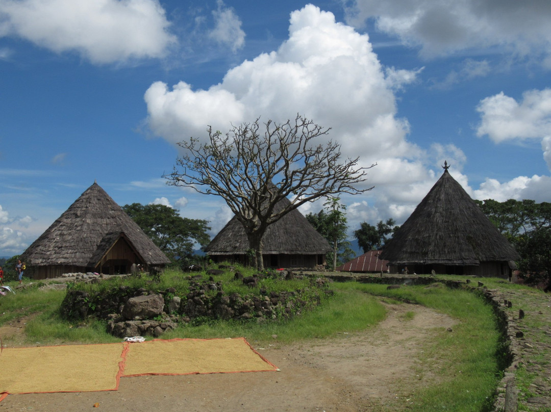 Ruteng Pu'u Village景点图片