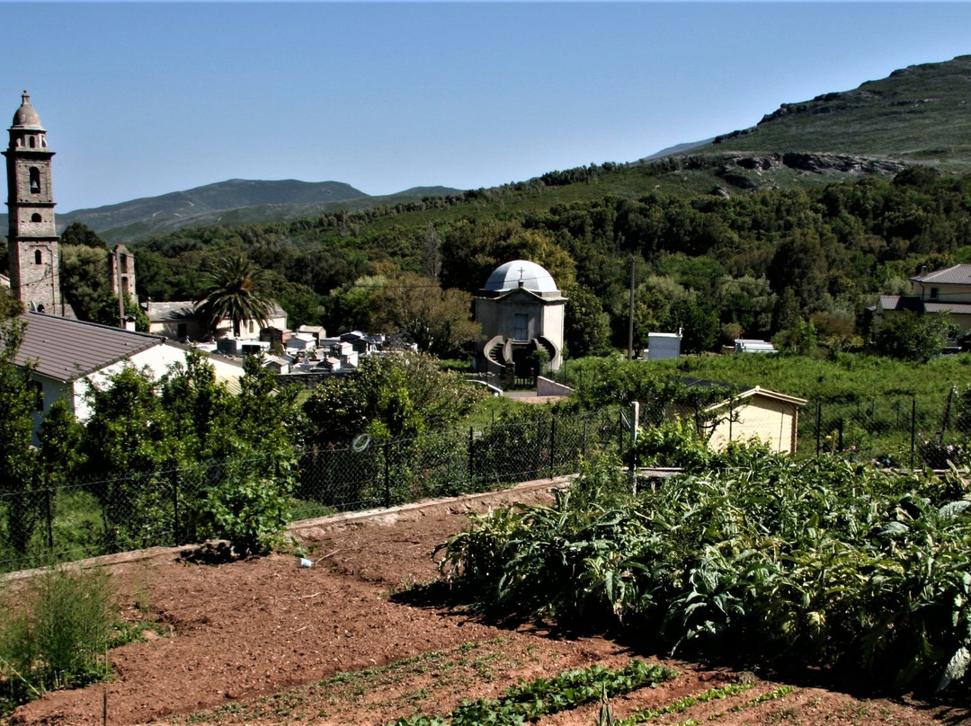 Distillerie Agricole de Pietracorbara景点图片