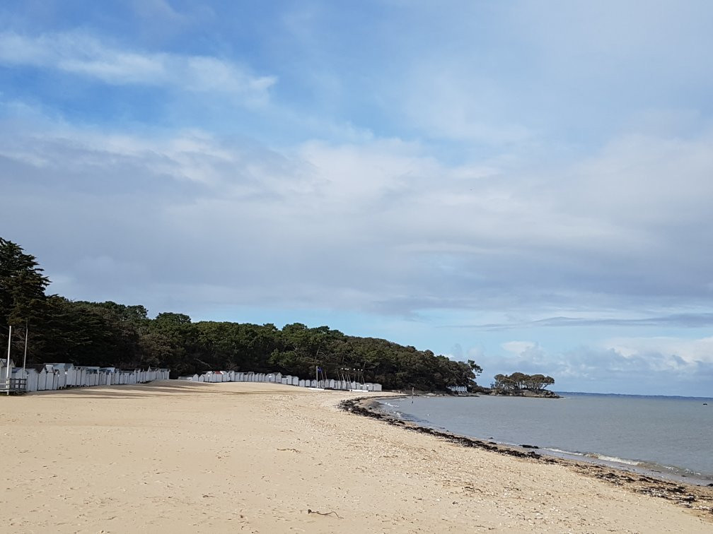 Plage des Sableaux景点图片