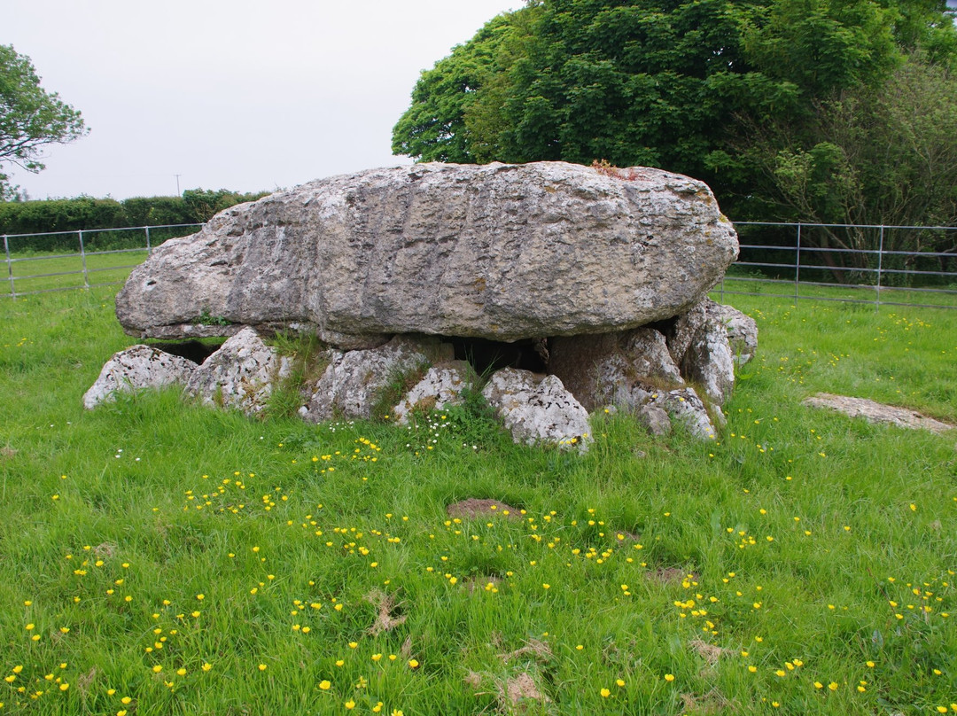 Lligwy Burial Chamber景点图片