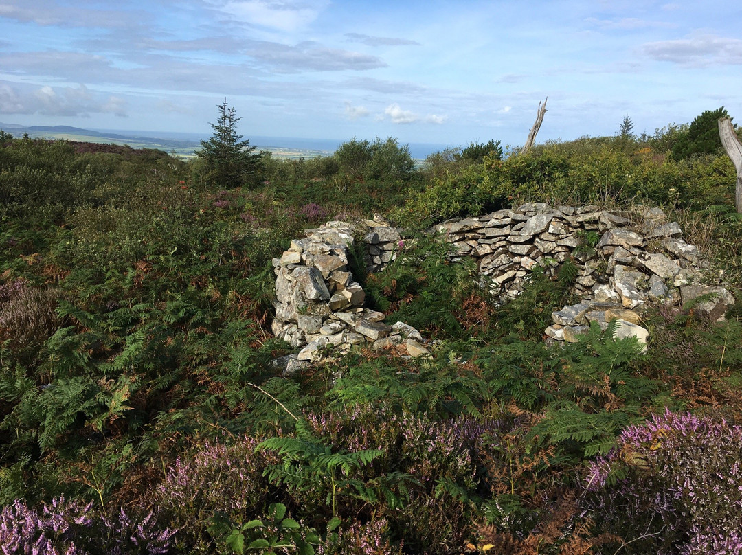 Trwyn Dinllaen Iron Age Hill Fort景点图片