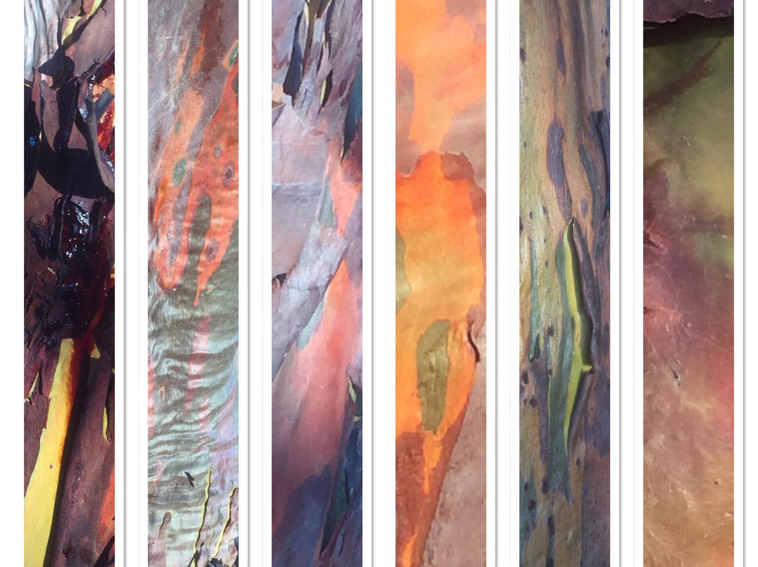 Desert Edge Arts Gallery景点图片