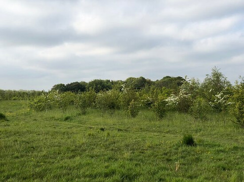 Hook & Hatchet Pub-梅德斯通必去景点