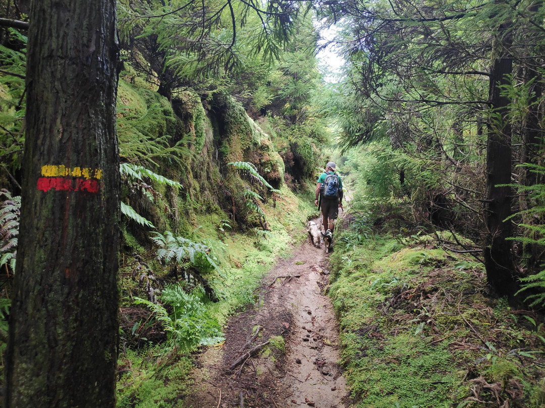 Minuvida Azores Experiences