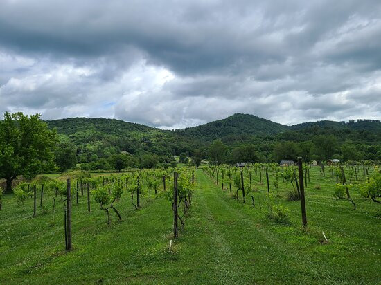 Valley River Vineyard & Winery景点图片