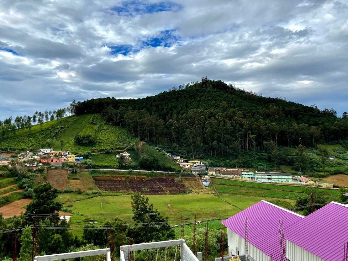 Global Village Ooty-酒店景观