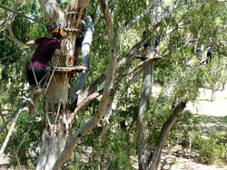 TreeClimb Adelaide-阿德莱德必去景点