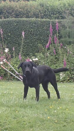 Sid Valley Country House Hotel主图