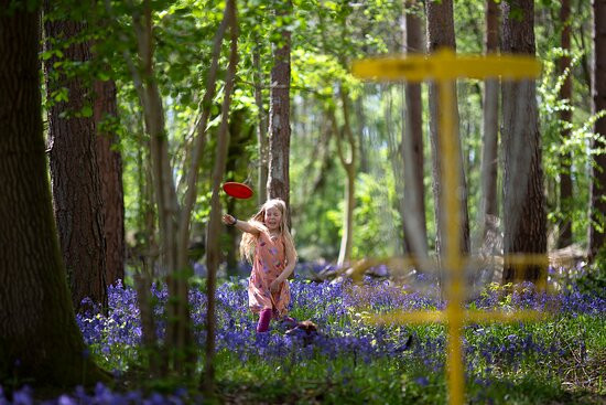 Gilly's Disc Golf景点图片