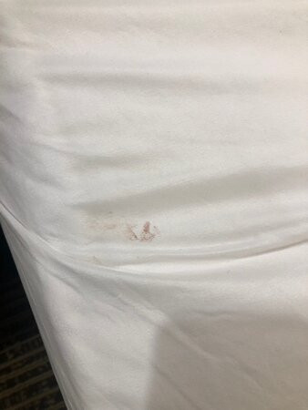 Quality Inn Oak Ridge主图