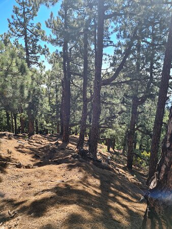 Pico de la Nieve-巴尔玛圣库鲁斯必去景点