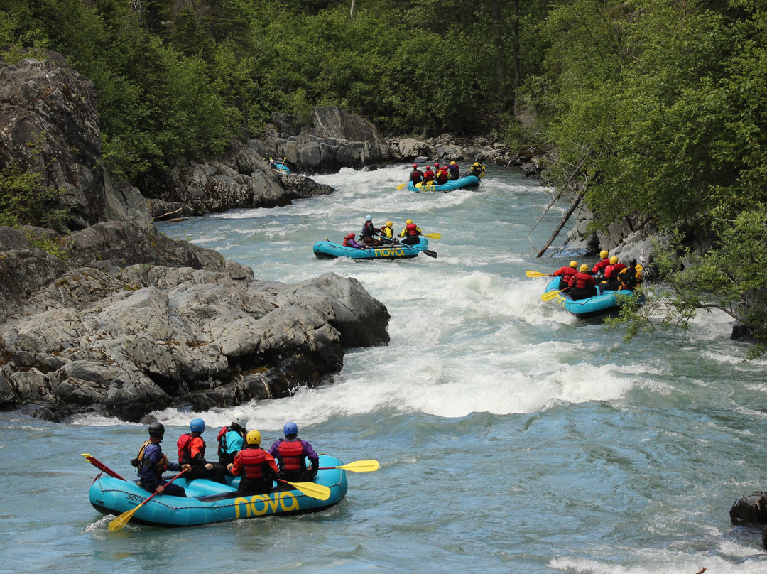 Nova Alaska Guides景点图片