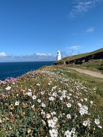 Trevose Head Lighthouse景点图片