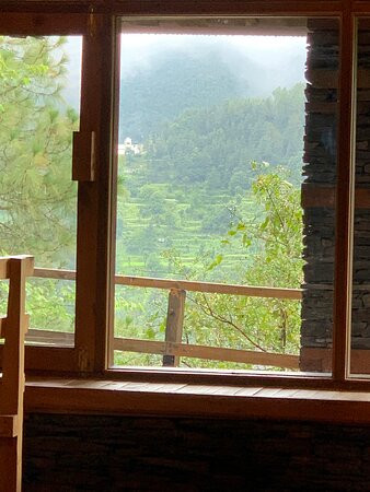 Suro Treehouse Resort主图