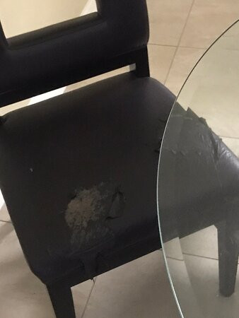 Exploria Express主图