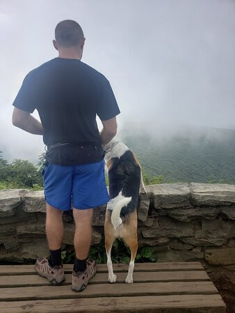 Craggy Gardens景点图片