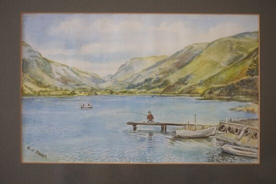 Talyllyn Lake景点图片