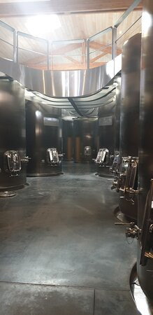 Chateau Lafon-Rochet景点图片