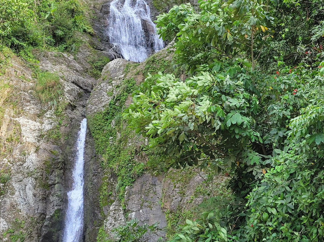 Finca Puerco Suelto