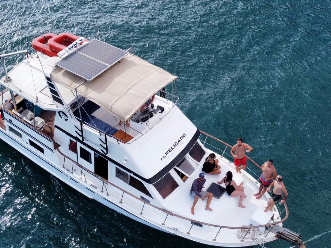 Mr Pelicano Boat Tours景点图片