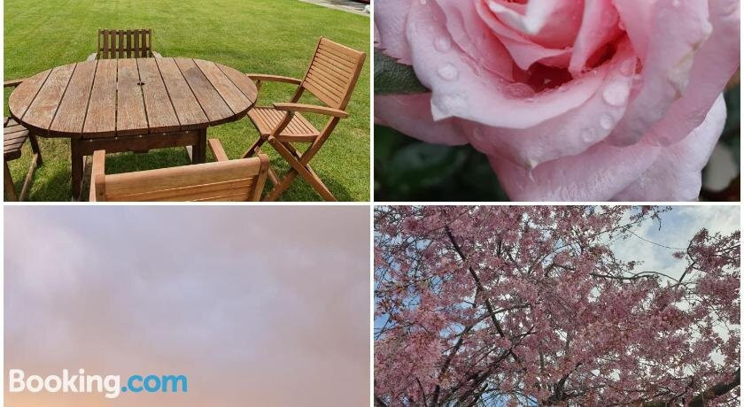 Burkes Pass Country Motels主图