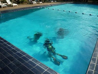 Ypsylon Diving-尼拉瓦利必去景点