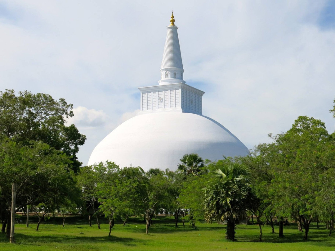 Skyline Tour Connections