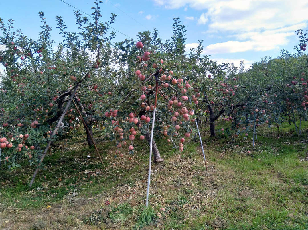 Nakdong Seunggok Village