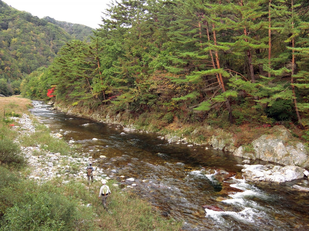 洪川郡旅游攻略图片