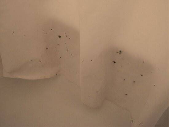 Residence Inn by Marriott Charleston Riverview主图