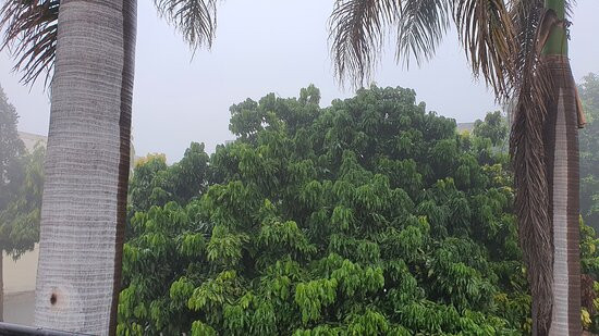 Hotel Taj Palace主图