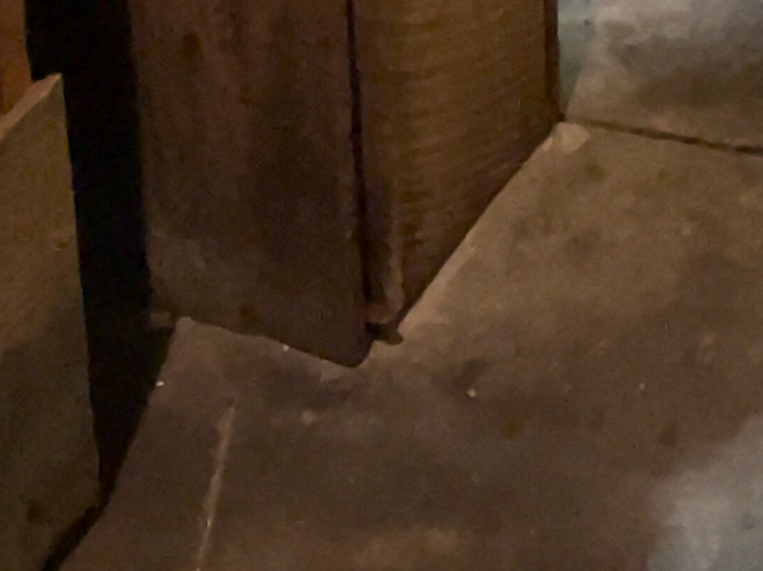 Hunsader Farms-布雷登顿必去景点