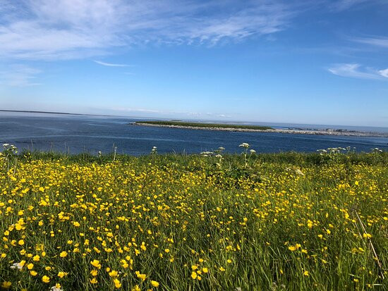 Phare de l'Île aux Perroquets-Longue-Pointe-de-Mingan必去景点