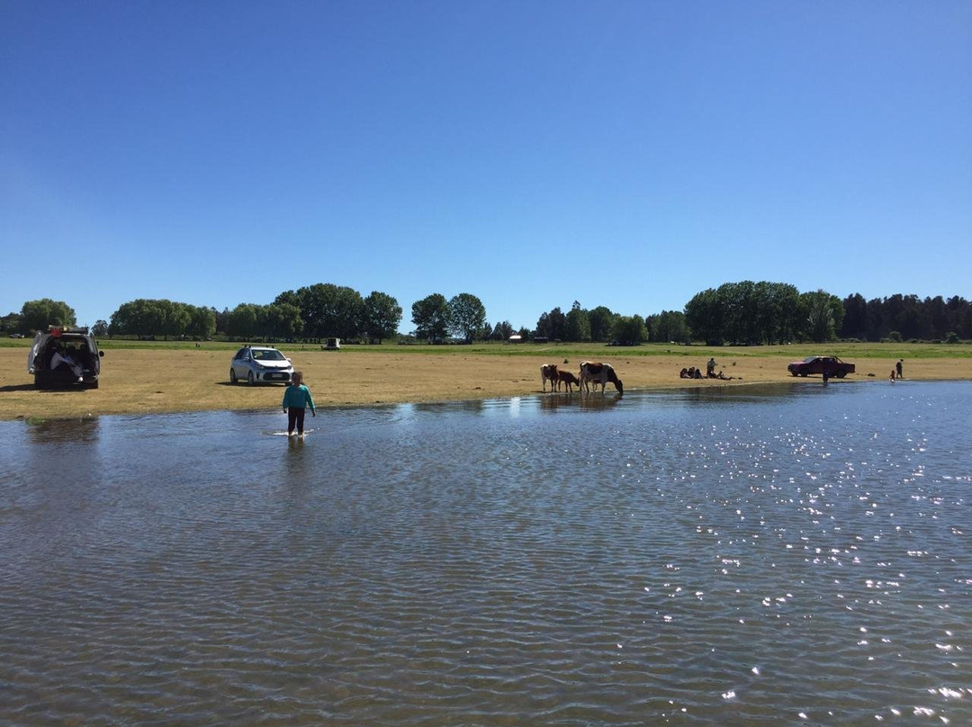 Lago Colbun-Colbun必去景点