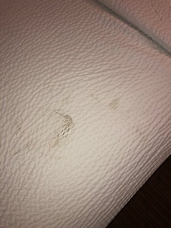 美国长住酒店-芝加哥-奥黑尔-全州竞技场主图