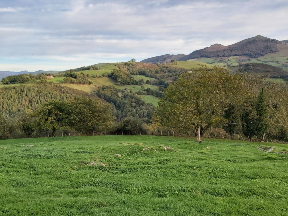 Hotel Restaurant Kuko主图