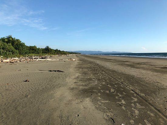 The Zancudo Lodge主图