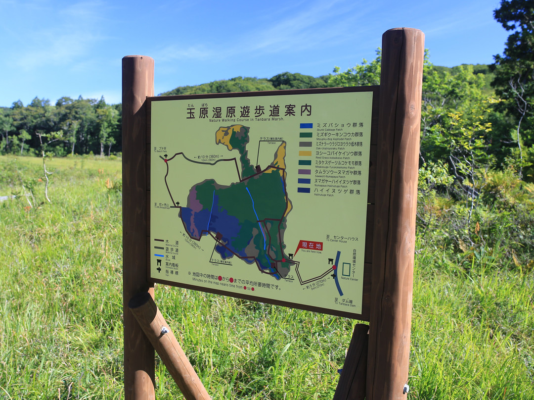 Tambara Shitsugen-沼田市必去景点