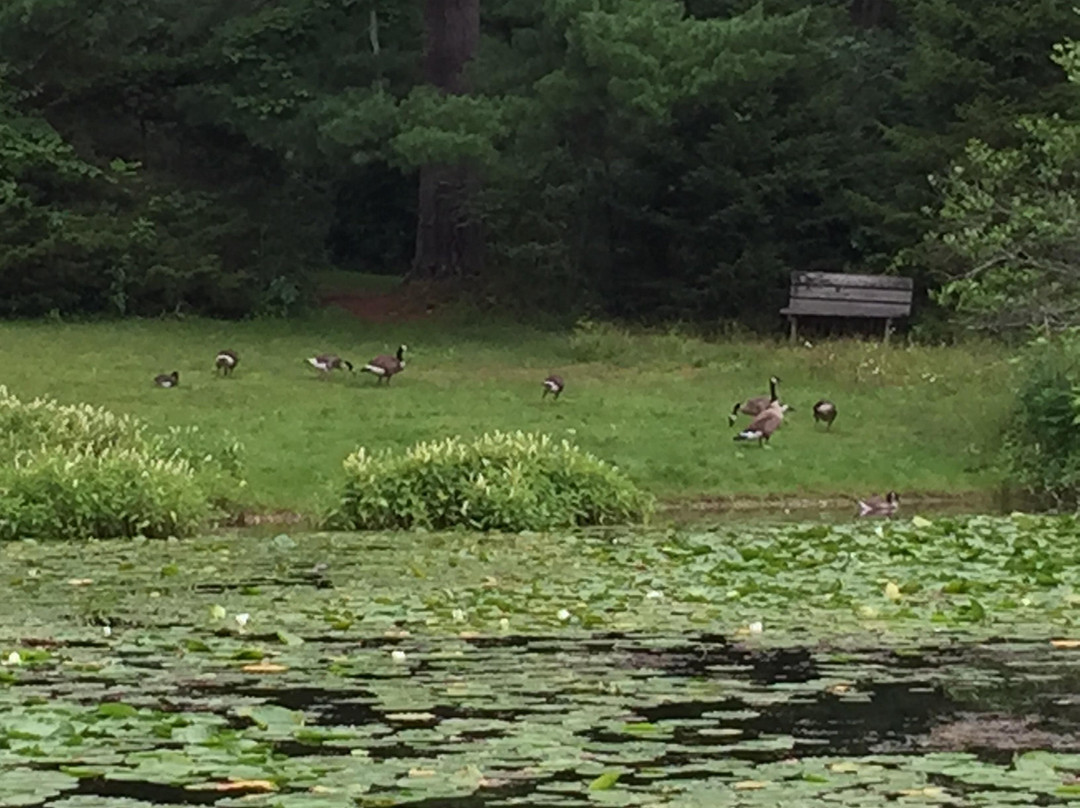 Sugar Grove旅游攻略图片