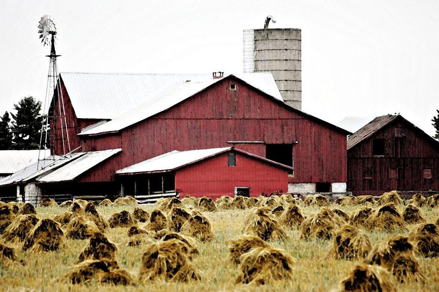 Norwich旅游攻略图片