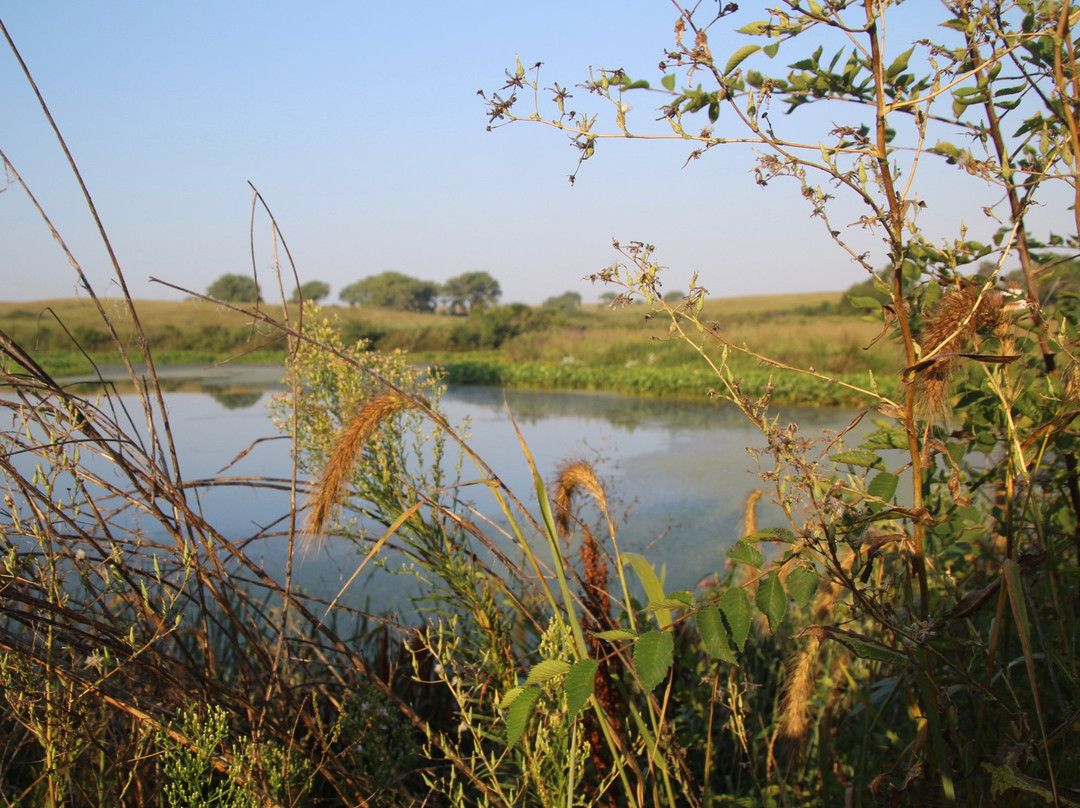 Spring Creek Prairie Audubon Center景点图片