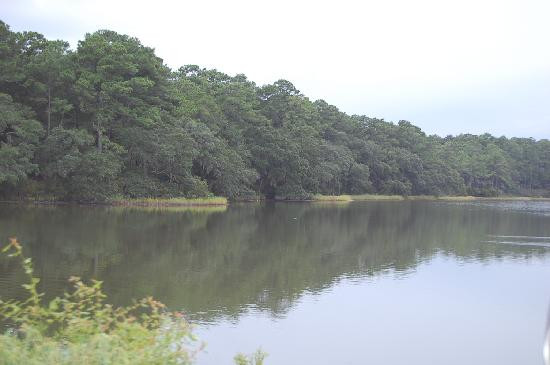 Botany Bay Ecotours景点图片