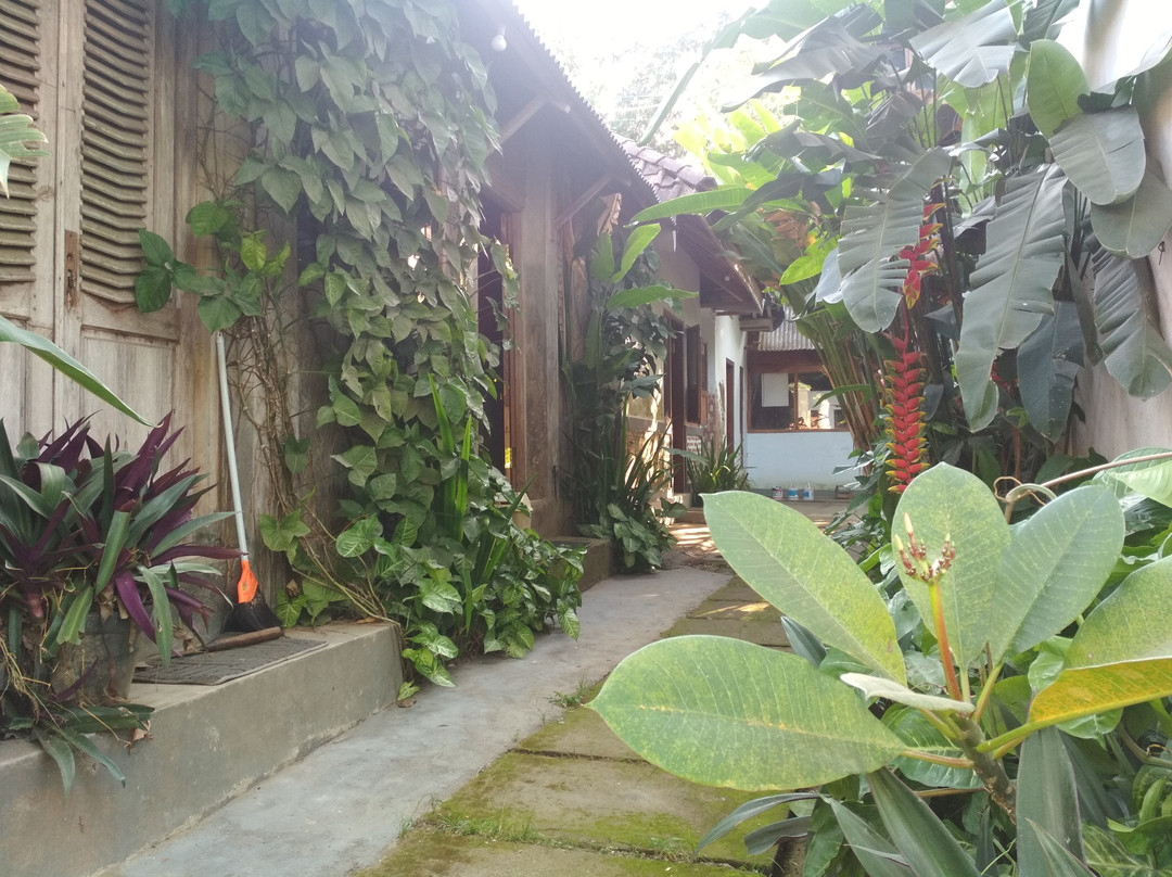 Bondowoso Hostel