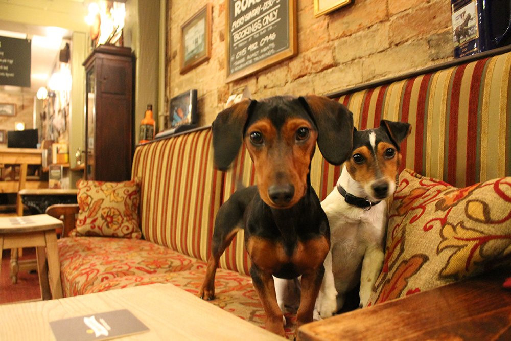 The Chequers Inn