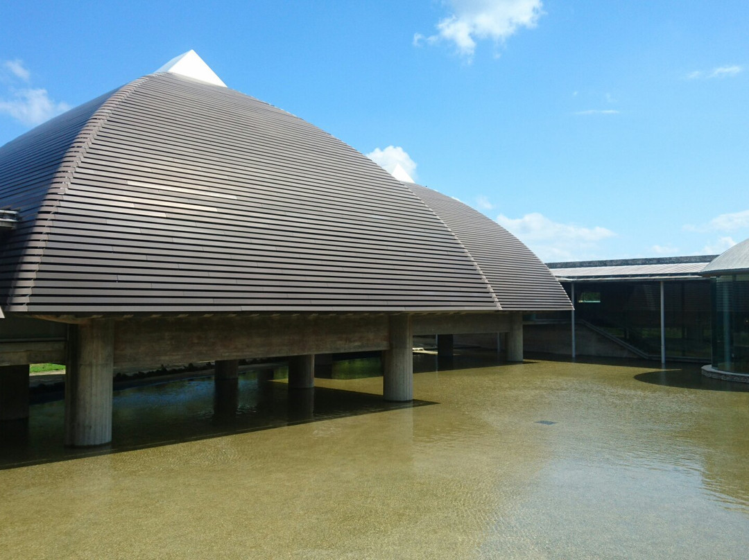 Tanaka Isson Museum景点图片