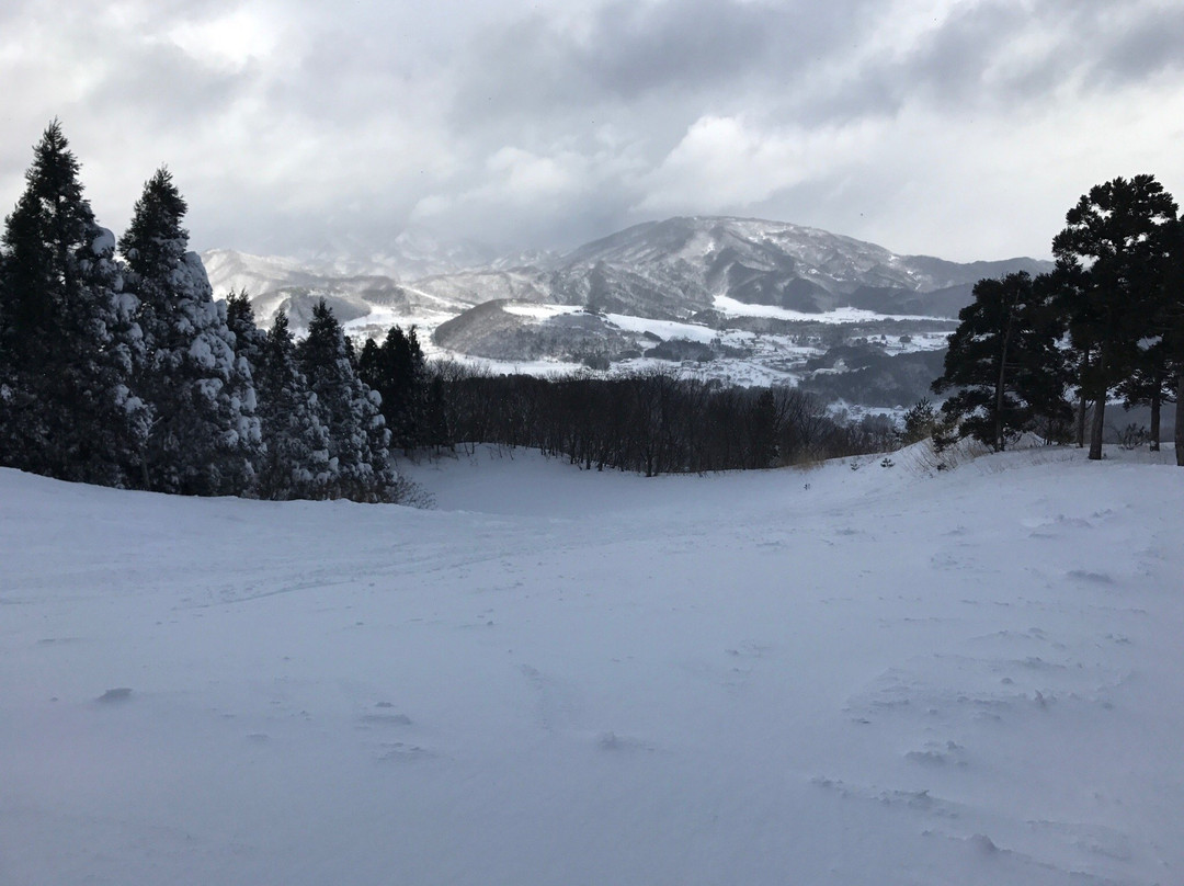 Okukannabe Ski Area-丰冈市必去景点