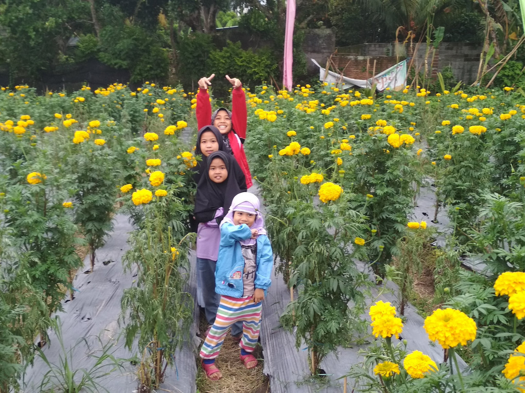 Narmada Botanic Garden