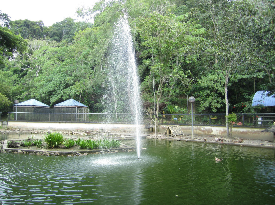 Labuan Bird Park景点图片