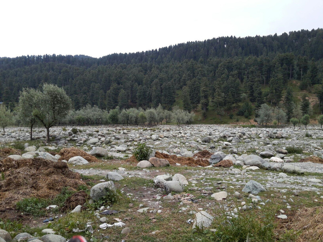 Ferozepur Nallah景点图片