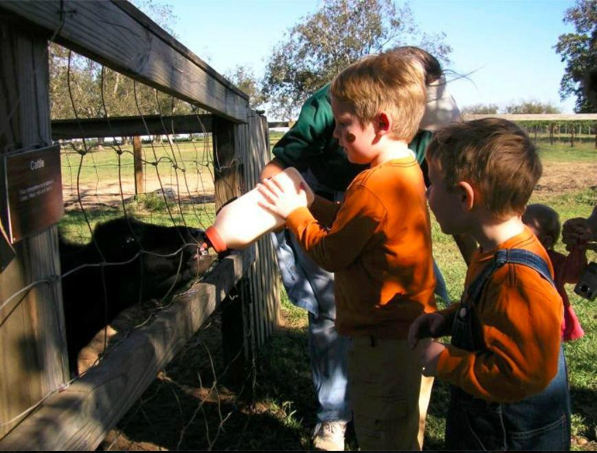 Brantley Farms Petting Zoo景点图片